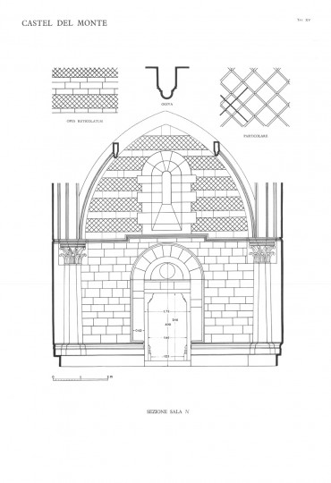 Tavola XV