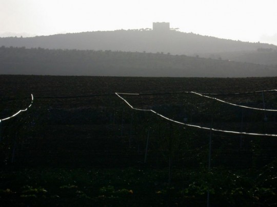 TERRA. Ho destato il mio sguardo. Ho visto la mia terra. Fredda, bollente, martoriata terra. Terra di Puglia. Terra d'Italia. Terra madre, credevo.