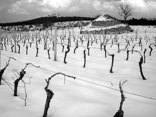 STAGIONI. Inverno. Apnea apparente di un respiro incessante.